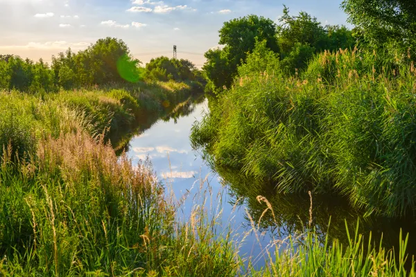 Bachlauf am Stadtrand. Am Ufer wächst üppiges Grün. 